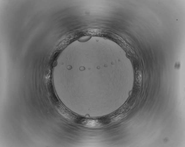 X0000093740507200711131105