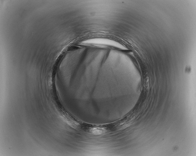 X0000093740508200711131105
