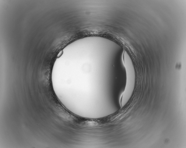 X0000093740509200711131105