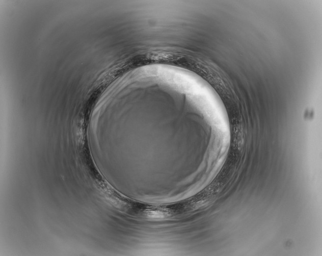 X0000093740510200711131105