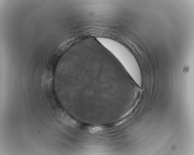 X0000093740513200711131105
