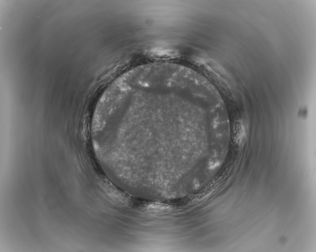 X0000093740515200711131104
