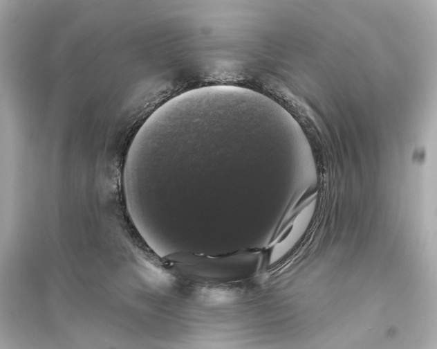X0000093740517200711131104