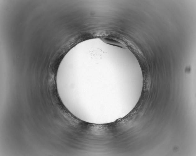 X0000093740521200711131104