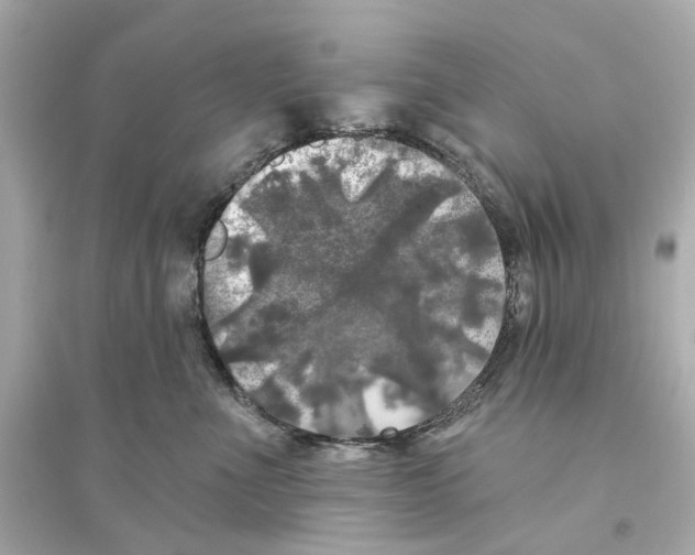 X0000093740523200711131104