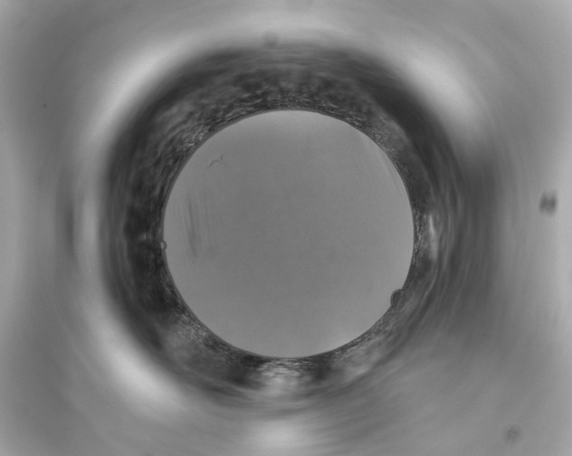 X0000093740526200711131104