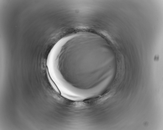 X0000093740528200711131104