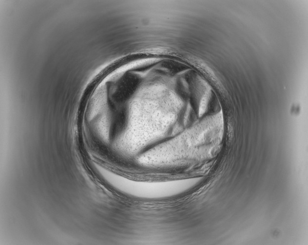 X0000093740532200711131104