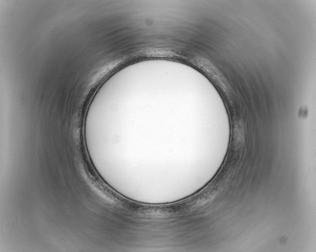 X0000093740533200711131104