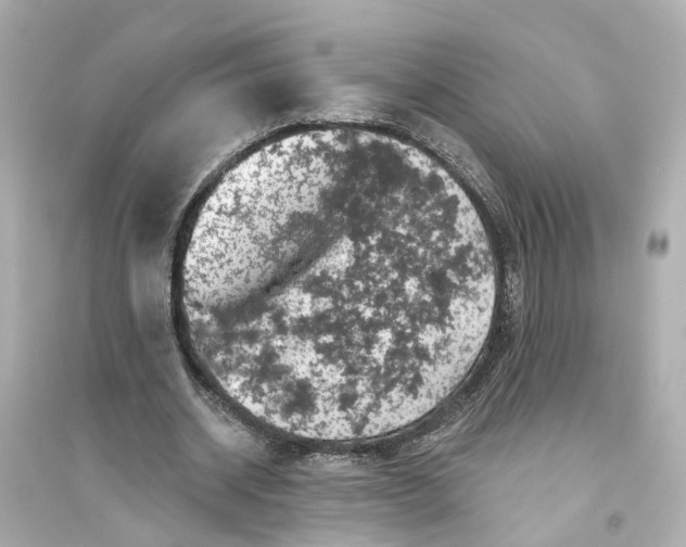 X0000093740534200711131104