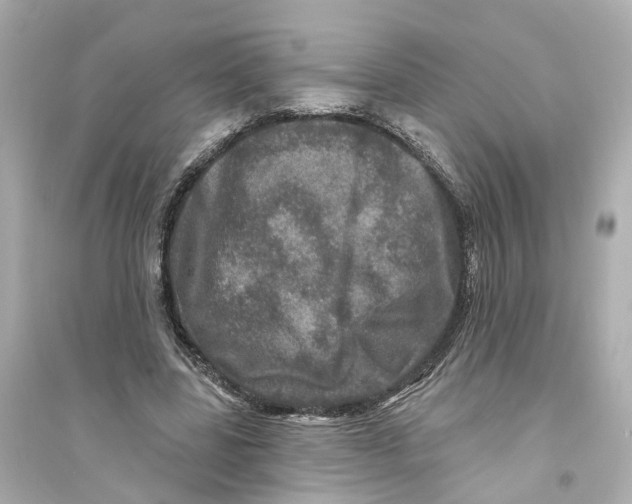 X0000093740539200711131104
