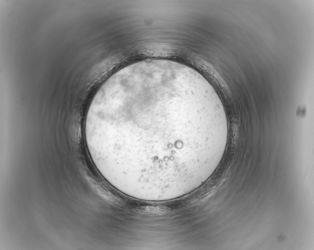 X0000093740541200711131104