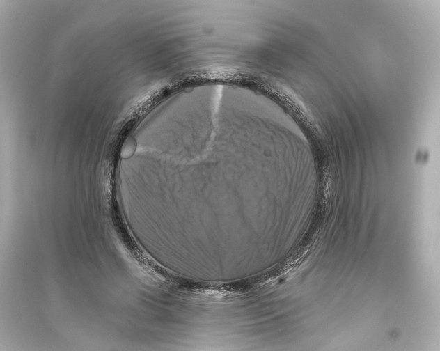 X0000093740542200711131104