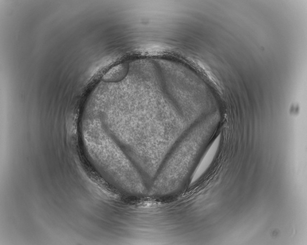 X0000093740543200711131104