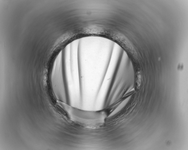 X0000093740544200711131104