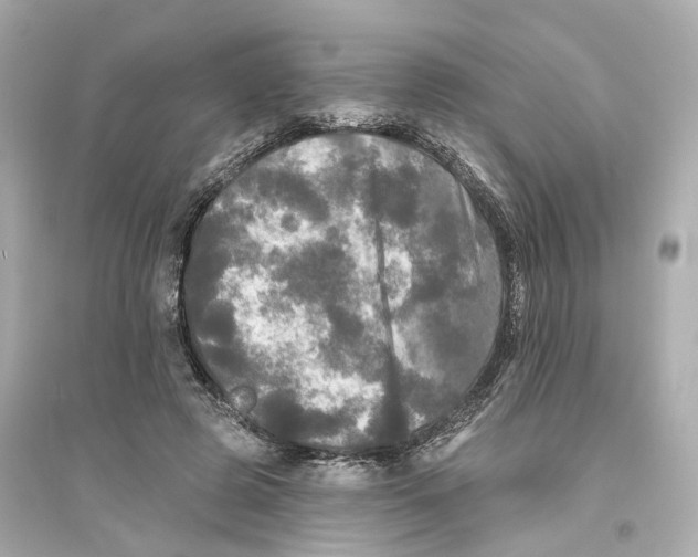 X0000093740545200711131104
