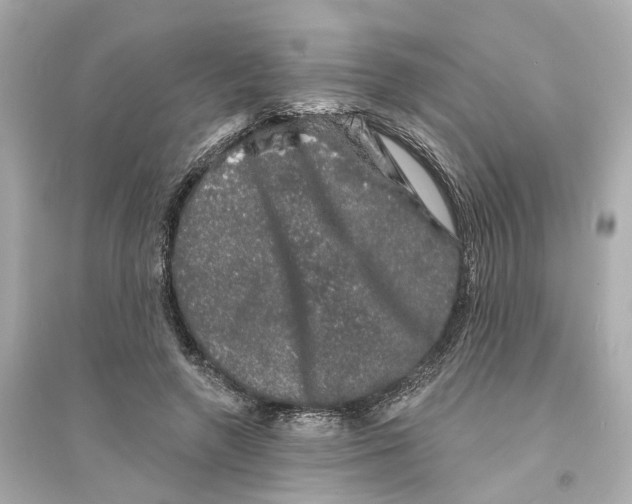X0000093740546200711131104