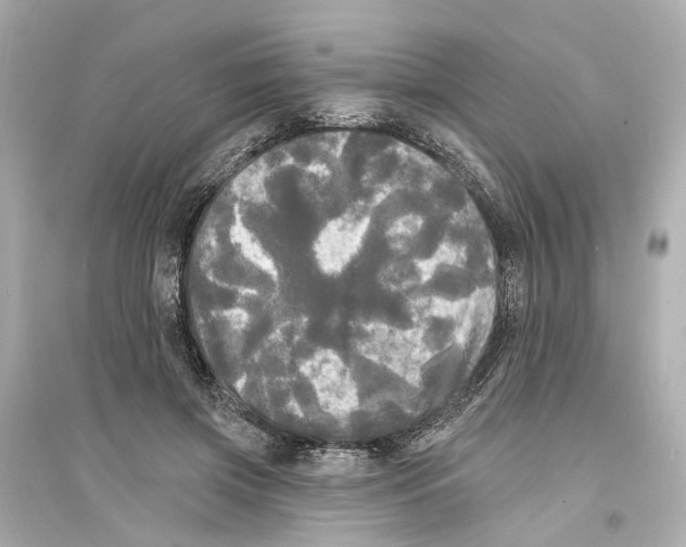 X0000093740549200711131104