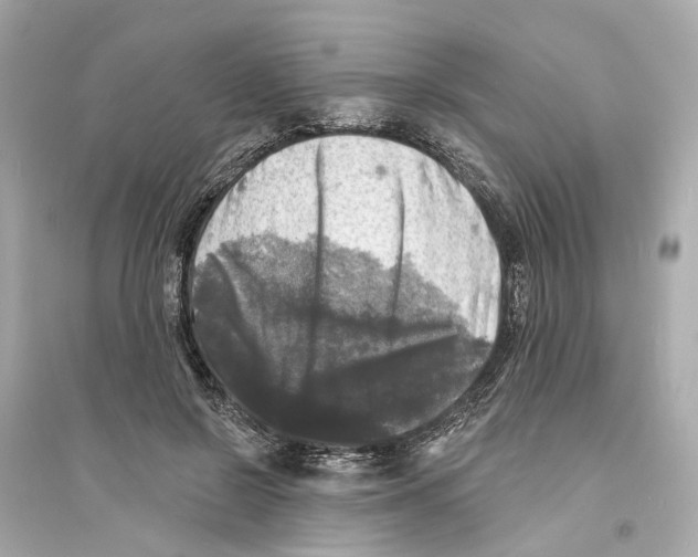 X0000093740550200711131104