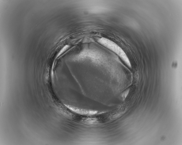 X0000093740554200711131104