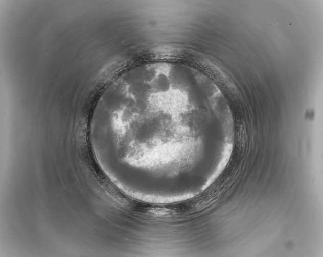 X0000093740557200711131104