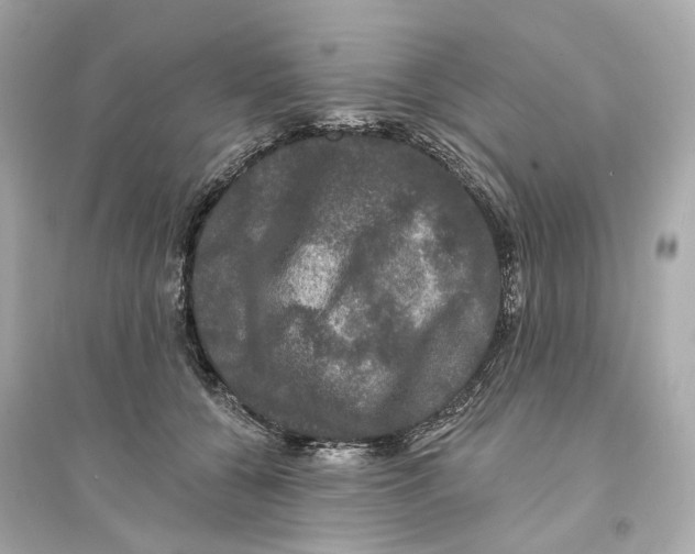 X0000093740560200711131104