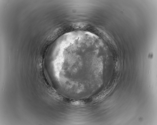 X0000093740561200711131104