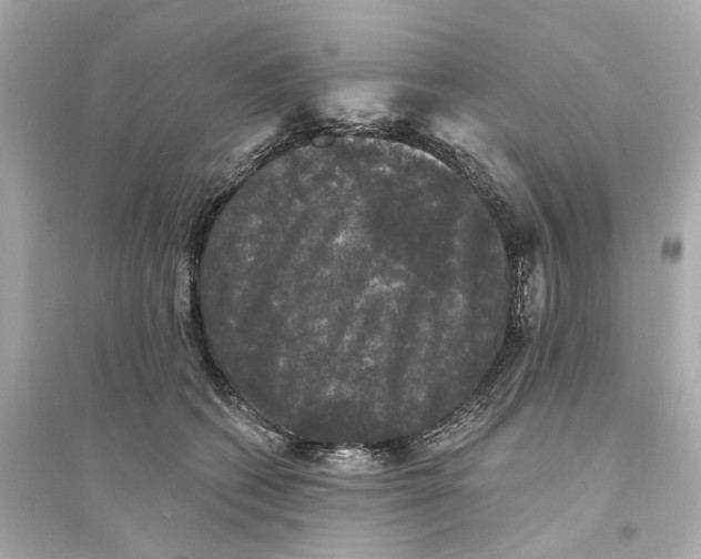 X0000093740562200711131104