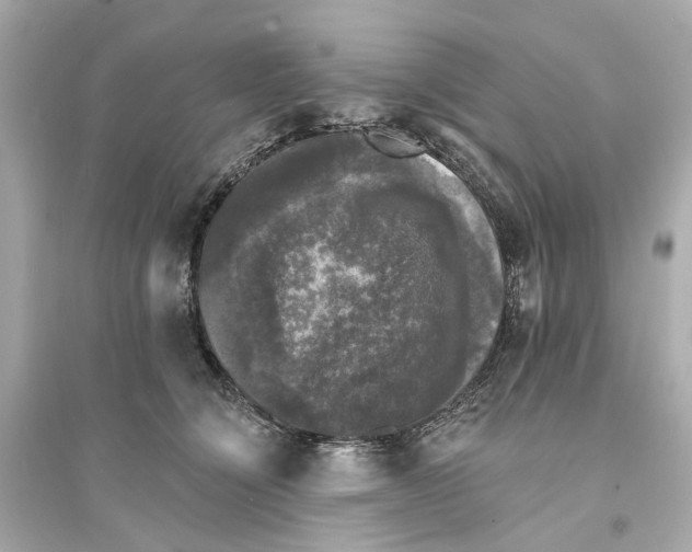 X0000093740564200711131104