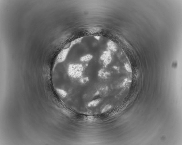 X0000093740565200711131104