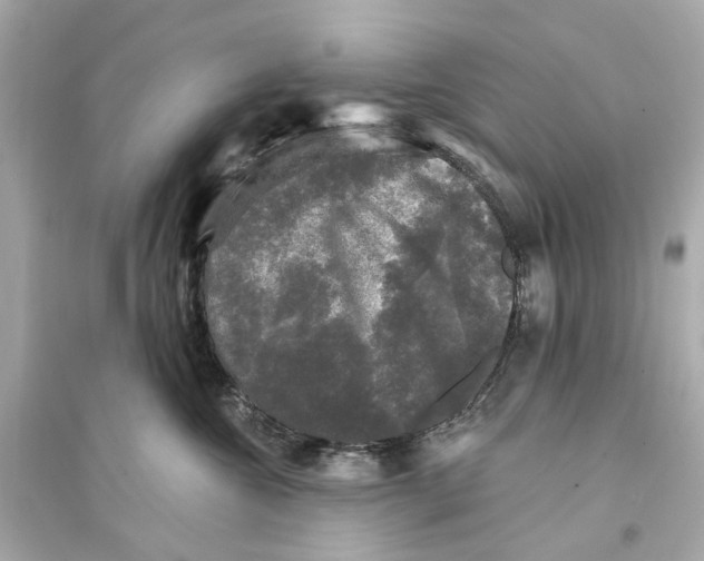 X0000093740572200711131104