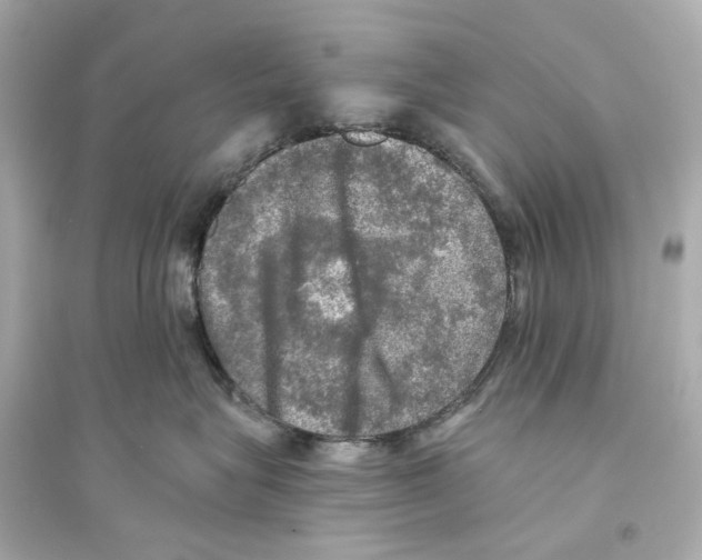 X0000093740575200711131104