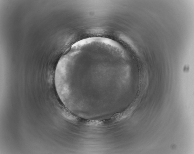 X0000093740576200711131104