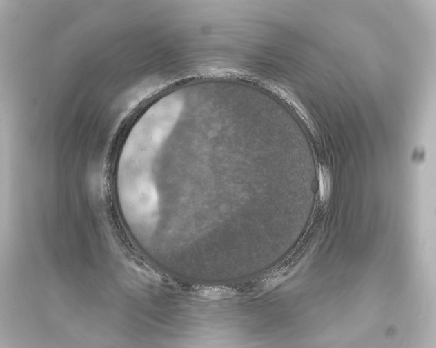 X0000093740579200711131104