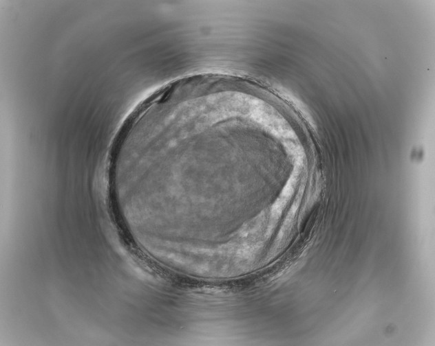X0000093740580200711131104