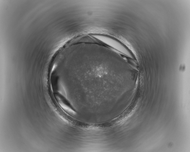 X0000093740581200711131104