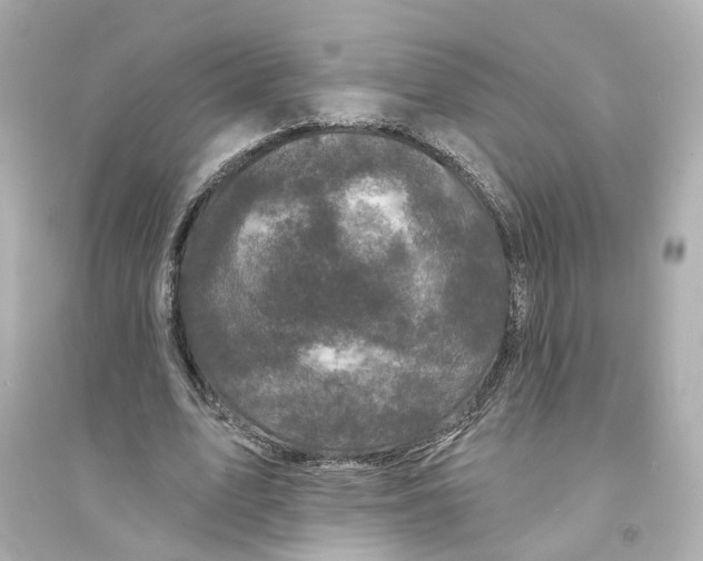 X0000093740583200711131104