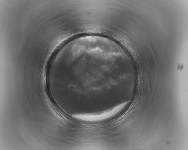 X0000093740584200711131104
