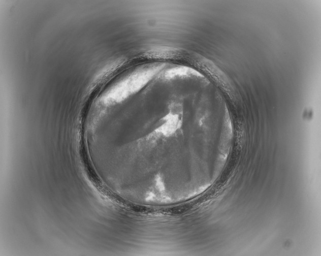X0000093740586200711131103