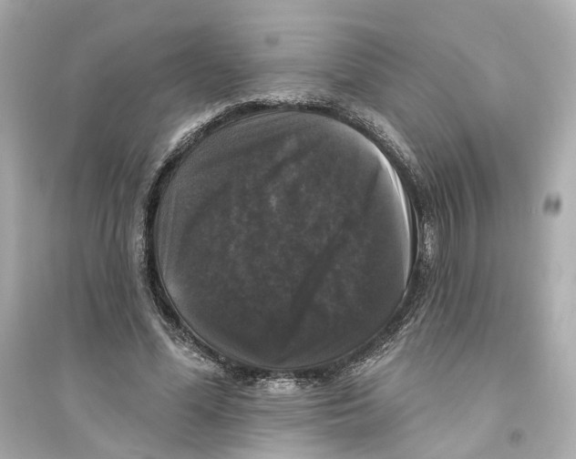 X0000093740588200711131103
