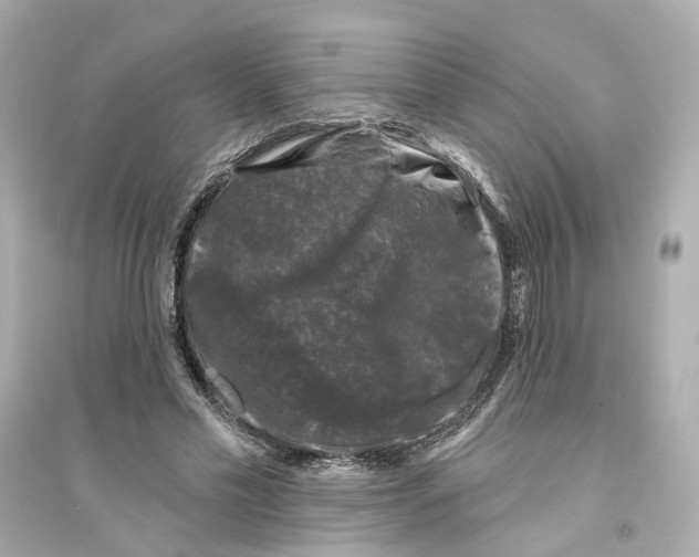X0000093740589200711131103