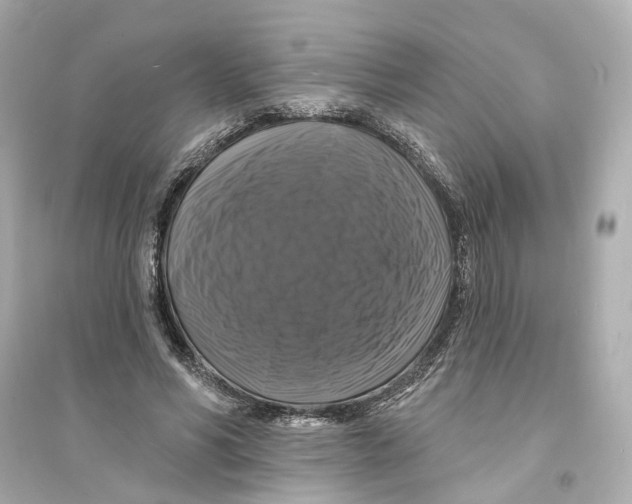 X0000093740590200711131103