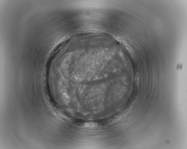 X0000093740591200711131103