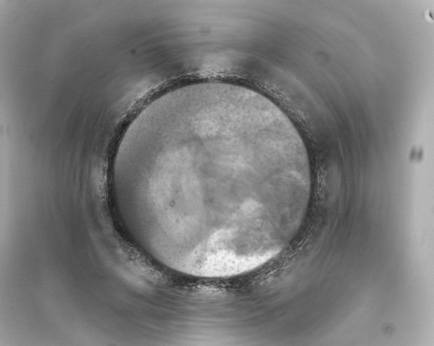X0000093740592200711131103