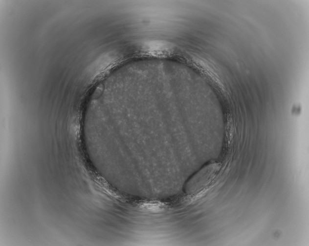 X0000093740595200711131103