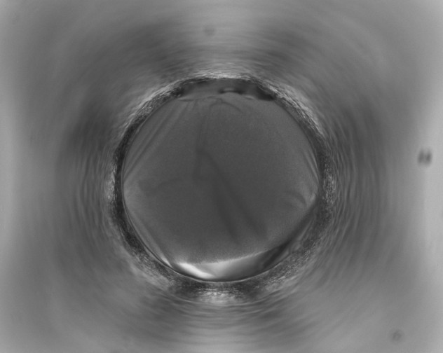 X0000093740596200711131103