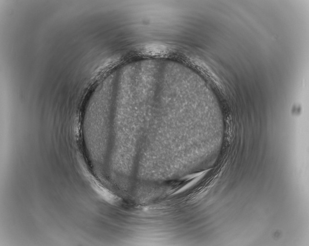 X0000093740597200711131103