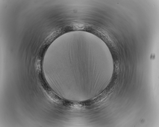 X0000093740598200711131103