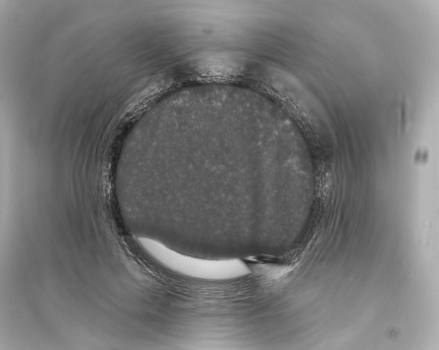 X0000093740599200711131103