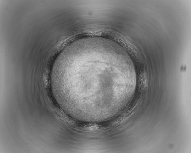 X0000093740600200711131103